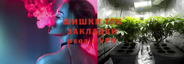 дживик Гусев
