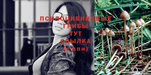 первитин Дмитров