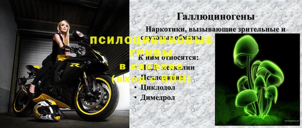 альфа пвп Елизово