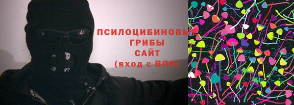 СК Елабуга