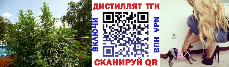 ТГК вейп с тгк Купить где Сасово