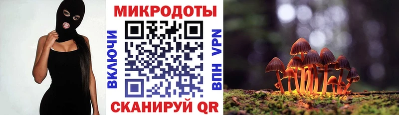 Купить закладки  Сасово  Галлюциногенные грибы GOLDEN TEACHER 